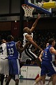 UBC Tigers131209   016